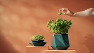 La primera maceta que crece con la planta: un diseño inspirado en la NASA promete acabar con los trasplantes