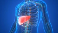 Desarrollan una nueva quimioterapia contra el cáncer hepático más agresivo