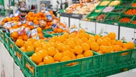 Mercadona venderá 131.000 toneladas de naranja nacional en 2025-2026 y desvela el origen de toda su producción