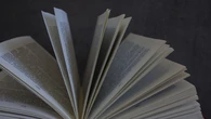 Sorpresa en una biblioteca: un libro escondía el “marcapáginas más caro de la historia”