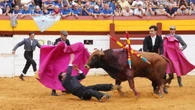 Samuel Navalón sufre una cornada en el cuello en Algemesí