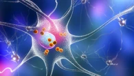 Un estudio español, pionero en usar nanotecnología en demencia con cuerpos de Lewy