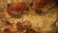 Descubren el patrón de los animales en las pinturas prehistóricas