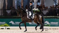 Wellington International crece hacia el Sur