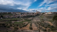 Bajar el ritmo entre vinos, cultura y naturaleza dentro de la Comunidad de Madrid