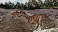 Descubren un antepasado de los cocodrilos que se anticipó a los dinosaurios