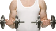 Los tres músculos que nadie entrena pero pueden poner tu cuerpo en serios problemas