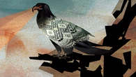 El control de los jueces