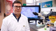Un experto ante el virus que se extiende en los colegios: "El inicio de curso duplica las infecciones"