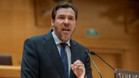 Puente quiere ser consigliere