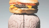Descubren una proteína que actúa como un interruptor del hambre