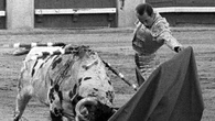 Seis décadas de la faena de Antoñete a "Atrevido": el día que Madrid guardó el canon del toreo eterno