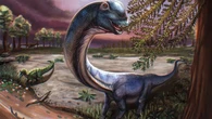 Nagatitan chaiyaphumensis: el coloso de 27 metros que dominó el Sudeste Asiático hace 120 millones de años