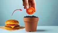 Un chico siembra una semilla del tomate de una hamburguesa del Mc Donald's y el resultado le deja sin palabras