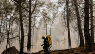 Incendios forestales en España hoy, en directo: última hora de la evolución de los fuegos activos