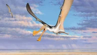 Revelados los últimos y agónicos instantes de los pterosaurios: una fuerza descomunal les quebró las alas en pleno vuelo