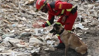 Última hora del terremoto en Venezuela, en directo: muertos, heridos y búsqueda de desaparecidos tras la ultima réplica