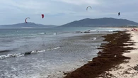 Una gigantesca masa de algas invade el Atlántico: se enciende la alarma científica por el sargazo que ya supera los 8.800 kilómetros