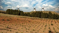Ruta del Vino de La Mancha: esencia cultural y enoturística