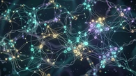 Desarrollan el primer mapa de los genes en nuestras células