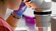 Descifran parte del sistema inmune y abren la puerta a nuevos tratamientos contra infecciones y cáncer