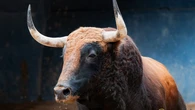 Estos son los astifinos y variopintos toros de Toros de El Torero para el día del santo: Horarios y dónde ver por TV