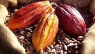 ¿Chocolate saludable por menos de 2 euros? Ya existe y está en Mercadona
