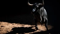 Estos son los imponentes toros con los que La Quinta cierra su doblete isidril: Horarios y dónde ver por TV