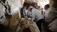 El nuevo hallazgo de Egipto: ataúdes de hace 3.500 años y decenas de gatos momificados