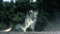 Descubriendo el bosque y la selva de Guinea Ecuatorial