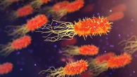 Descubren una nueva forma de enfrentarnos a superbacterias que amenazan la medicina