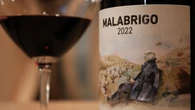 Malabrigo: propuesta de un gran vino para brindar en Navidad
