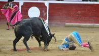 João d'Alva, Fernando Adrián, José Luis Triviño: así es la frenética actividad de la enfermería taurina en septiembre