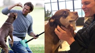 La leyenda de la NFL Tom Brady revela haber clonado a su perro muerto hace dos años
