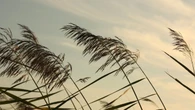 ¿Cuál es la diferencia entre Levante y Poniente? Solo los andaluces reales lo tienen claro