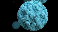 La OMS lo advierte: estamos poco preparados ante el riesgo alarmante de afrontar una nueva pandemia: “El mundo no es seguro”