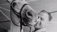 "Snowman", el caballo sin papeles que enamoró a Estados Unidos
