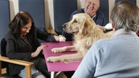 Estos son los beneficios de las terapias con animales de compañía para la rehabilitación de personas mayores
