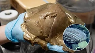 Se resuelve el misterio del orbe dorado encontrado a 3 kilómetros de profundidad en el Golfo de Alaska