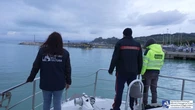 El hallazgo que nadie esperaba: encuentran un barco naufragado de 2.400 años mientras buscaban emplazamientos para energía eólica
