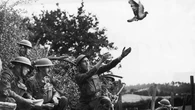 Lo que parece una intuición puede tener una base física: La ciencia revela cómo las palomas usan su hígado como brújula