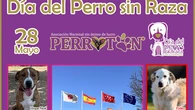 Una campaña da visibilidad a los perros de raza abandonados
