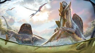 Un estudio descubre por qué los dinosaurios nunca conquistaron el mar
