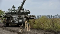 Un estudio revela cómo el conflicto en Ucrania transforma a los perros que viven en zonas de guerra