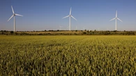 Nuevo préstamo verde de Iberdrola con el BEI