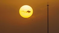 Alerta roja por ola de calor: el tiempo hoy lunes dejará temperaturas de hasta 43 °C