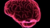 El nivel socioeconómico cambia afecta a nuestro cerebro desde que somos niños