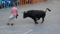 La Policía Nacional analiza la seguridad y la reforma del reglamento en los festejos taurinos de Valencia
