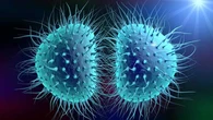 Las infecciones de transmisión sexual baten nuevo récord