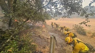 La tragedia de los incendios, cambio climático y mentiras